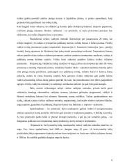 Investicinė rizika ir jos vertinimas 8 puslapis