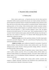 Investicinė rizika ir jos vertinimas 10 puslapis