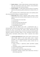 Investiciniai projektai 11 puslapis