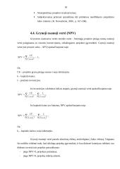 Investiciniai projektai 16 puslapis