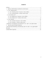 Investicinio portfelio analizė 2 puslapis