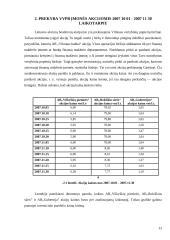 Investicinio portfelio analizė 13 puslapis
