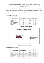 Investicinio portfelio analizė 17 puslapis