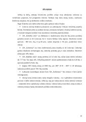 Investicinio portfelio analizė 19 puslapis