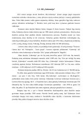 Investicinio portfelio analizė 10 puslapis