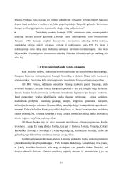 Investicinių fondų vystymasis, veikla Lietuvoje ir kitose šalyse 11 puslapis