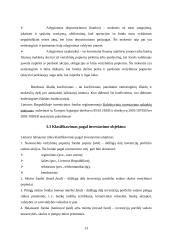 Investicinių fondų vystymasis, veikla Lietuvoje ir kitose šalyse 13 puslapis