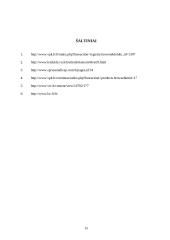 Investicinių fondų vystymasis, veikla Lietuvoje ir kitose šalyse 15 puslapis