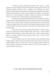 Išlaidų biudžetai: sudarymas ir analizė 11 puslapis