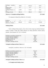 Išlaidų biudžetai: sudarymas ir analizė 14 puslapis