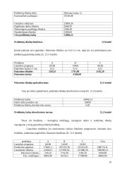 Išlaidų biudžetai: sudarymas ir analizė 16 puslapis