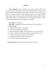 Išlaidų biudžetai: sudarymas ir analizė 3 puslapis