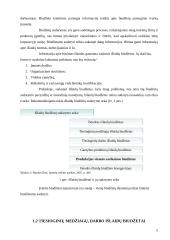 Išlaidų biudžetai: sudarymas ir analizė 5 puslapis