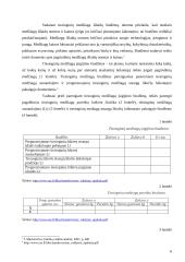 Išlaidų biudžetai: sudarymas ir analizė 6 puslapis