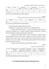 Išlaidų biudžetai: sudarymas ir analizė 7 puslapis