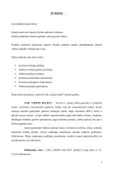 Išorinės aplinkos marketingo analizė: UAB "Liepos baldai" 2 puslapis