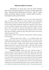 Išorinės aplinkos marketingo analizė: UAB "Liepos baldai" 3 puslapis