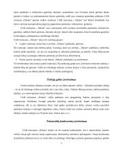 Išorinės aplinkos strateginė analizė: restoranų tinklas UAB "Delano" 5 puslapis