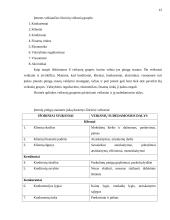 Išorinių ir vidinių veiksnių įtaka įmonės veiklos rezultatams 12 puslapis