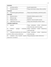 Išorinių ir vidinių veiksnių įtaka įmonės veiklos rezultatams 13 puslapis