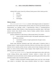 Išorinių ir vidinių veiksnių įtaka įmonės veiklos rezultatams 5 puslapis