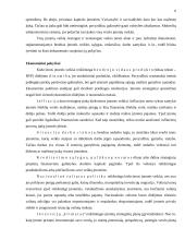 Išorinių ir vidinių veiksnių įtaka įmonės veiklos rezultatams 6 puslapis