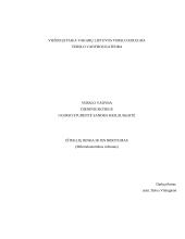 Išteklių rinka ir jos ribotumas 13 puslapis