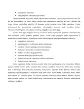 Išteklių rinka ir jos ribotumas 4 puslapis