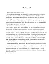 Išteklių rinka ir jos ribotumas 5 puslapis