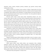 Išteklių rinka ir jos ribotumas 7 puslapis