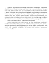 Išteklių rinka ir jos ribotumas 8 puslapis