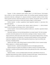 Išteklių rinka ir jos ribotumas 9 puslapis