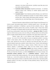 Išvestiniai vertybiniai popieriai 11 puslapis