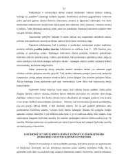 Išvestiniai vertybiniai popieriai 12 puslapis