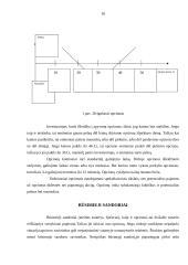 Išvestiniai vertybiniai popieriai 9 puslapis