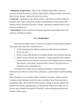 Italijos renesanso ištakos ir raiškos formos 5 puslapis