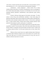 Įvaizdis ir jį formuojantys elementai 13 puslapis