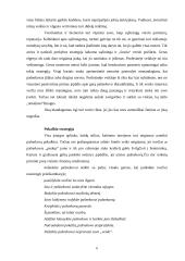 Įvaizdis ir jį formuojantys elementai 6 puslapis