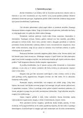 Įvaizdis ir jį formuojantys elementai 10 puslapis