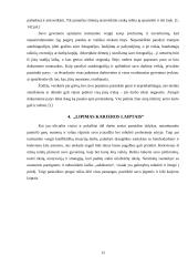 Įvaizdžio galia sėkmingai karjerai 12 puslapis