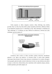 Įvaizdžio galia sėkmingai karjerai 14 puslapis