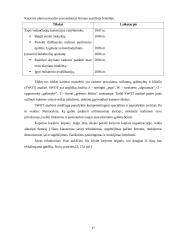 Įvaizdžio galia sėkmingai karjerai 17 puslapis