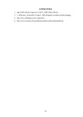 Įvaizdžio galia sėkmingai karjerai 19 puslapis