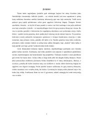 Įvaizdžio galia sėkmingai karjerai 3 puslapis