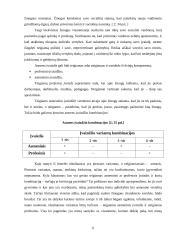 Įvaizdžio galia sėkmingai karjerai 6 puslapis