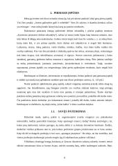 Įvaizdžio galia sėkmingai karjerai 8 puslapis