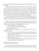 Įvaizdžio ir ryšių su visuomene taikymas prekybos įmonėse 11 puslapis