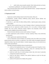 Įvaizdžio ir ryšių su visuomene taikymas prekybos įmonėse 7 puslapis