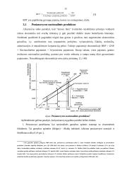 J. M. Keinso makroekonominės pusiausvyros modelis 11 puslapis