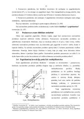 J. M. Keinso makroekonominės pusiausvyros modelis 12 puslapis